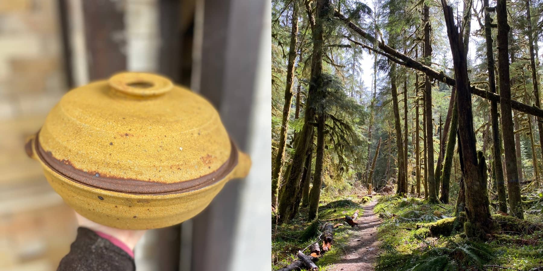 Wood Ash Glaze and the Circle of a Tree’s Life