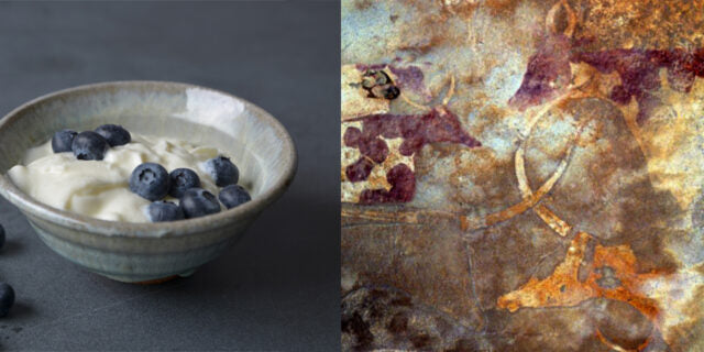 Primeval Fermenting in Ancient Ceramics and Us