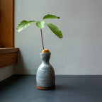 Avocado Grower