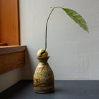 Avocado Grower