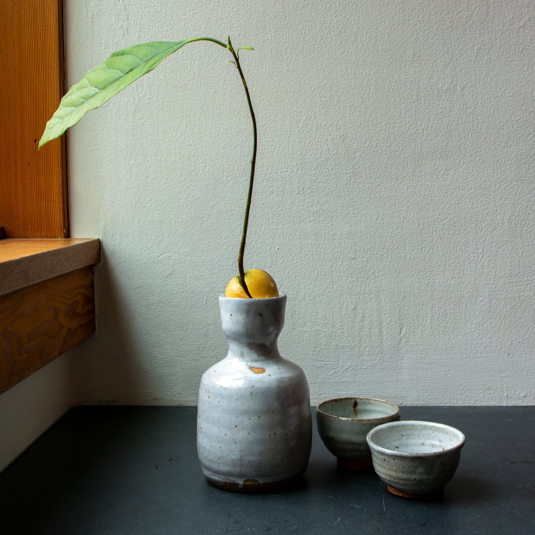 Avocado Grower