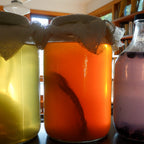 12-20-26_Fermented Drinks with Ceramic Sake Set