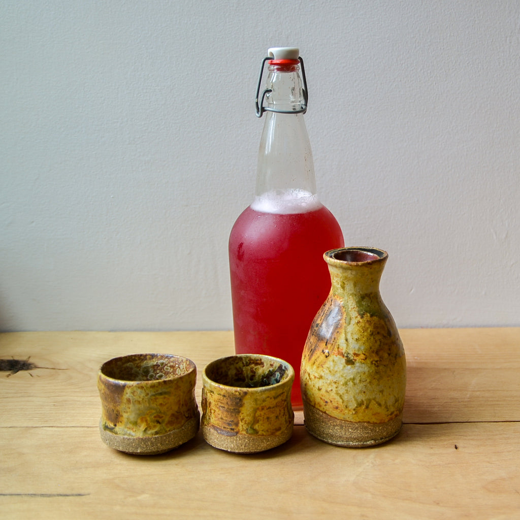 Fermented Drinks Class