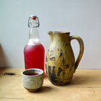 Fermented Drinks Class